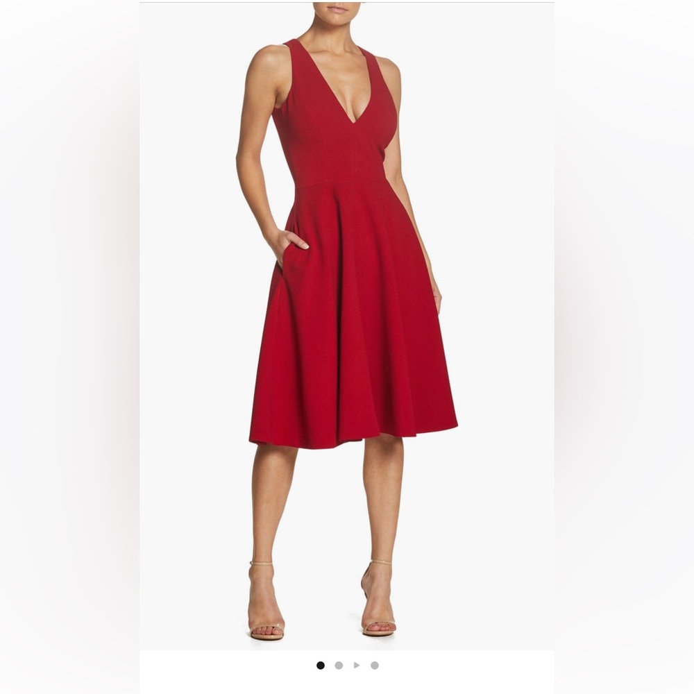 Dress the Population Fit & Flare Dress